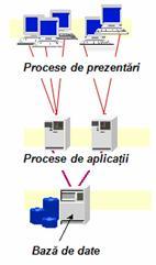 Configuraţiile de sistem informatic SAP cu doua niveluri sunt de obicei implementate folosind servere speciale de prezentare care sunt responsabile numai pentru formatarea interfeţei grafice.