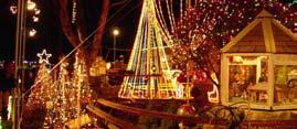 RESEARCH: Everything you need to learn about Holiday and Christmas Light Enthusiasts can be found starting with the following list of websites. In particular, www.planetchristmas.
