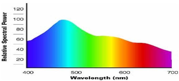 The spectrum of visible light The Spectral Power Distribution (SPD) of day light shows the relative amount of light energy.