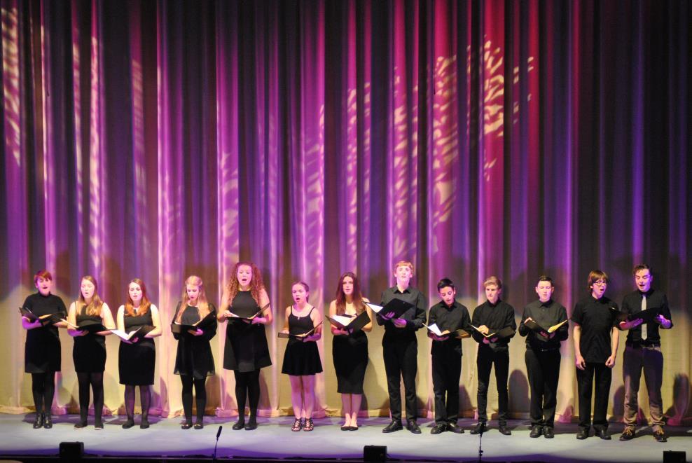 The Minor Details 2016-2017 The Minor Details are a mixed-voice auditioned choir which performs a varied repertoire, from Britten to the Beach Boys.
