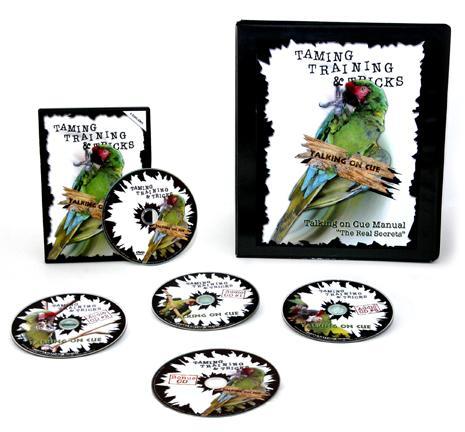 That s why I ve decided to announce the release of my Teach Your Parrot To Talk Version 2.0, With 3 Training CD s Full Of Real Birds Saying Real Words!