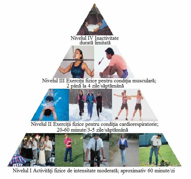 Figura 4.3. Piramida activităţilor fizice (Corbin şi colab.