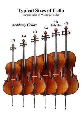 cellos sizes, o 2 double bass sizes. A student is sized at the beginning and throughout the school year.