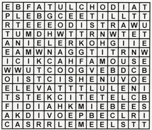Wordsearch Find these words: BED BELL CONCERT
