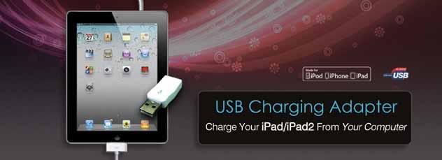 Comprehensive USB Charger Tired of having to carry around your ipad wall charger with you wherever you go? Now you don t have to any longer thanks to the convenient USB Charger for the ipad and ipad2.