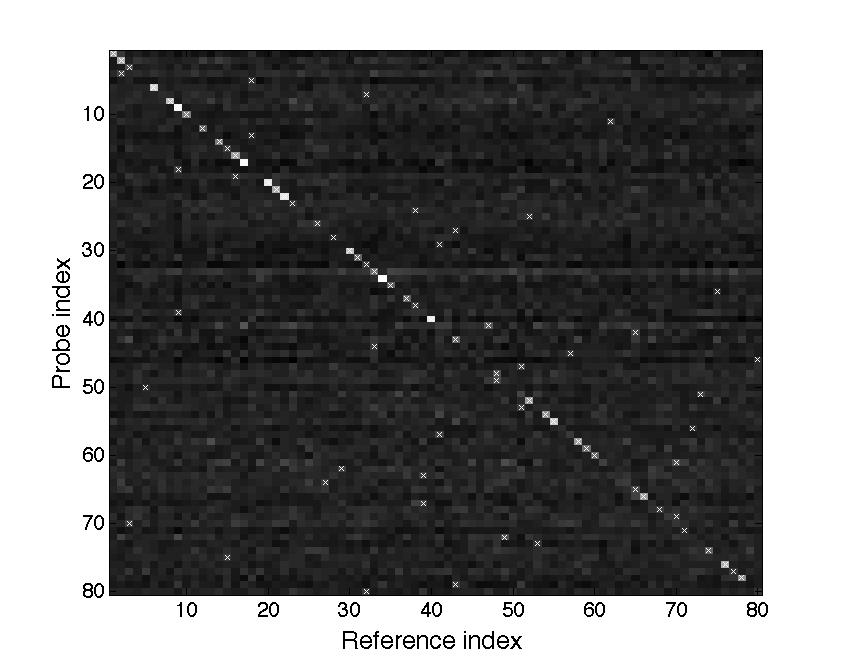 The Intervalgram: An Audio Feature for Large-scale Melody Recognition 11 lower score, and lighter pixels denote higher scores. The white crosses show the highest-scoring reference for a given probe.