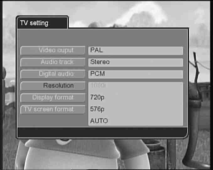 TV Screen format allows setting the screen aspect ratio. Select TV Screen format, press the RIGHT button and select the desired choice with the UP/DOWN buttons.