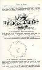 WITH AN INTRODUCTION BY PETER HARBISON B2. BORLASE, William G. The Dolmens of Ireland.