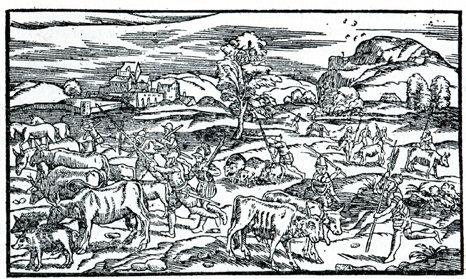 Collected by Raphaell Holinshed, & continued till the yeare 1547 by Richarde Stanyhurst.