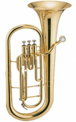 Baritones: Because of the very high cost of these instruments, the school district has purchased some of these, and