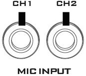 5. MIC IN CH1/CH2 Two Channels of unbalanced MIC input. CH 1 (L) CH 2 (R) States MIC1 MIC2 MIC 1(L) and MIC 2(R) are respectively connected to left (CH 1) and right (CH 2) channels.