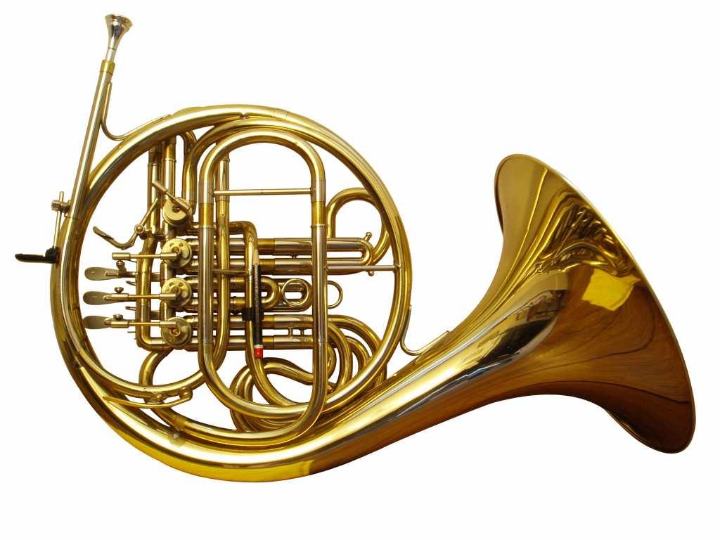 Brass Instruments The most important instruments of this family, from highest range to lowest, are the trumpet, the French horn, the tuba, and the trombone.