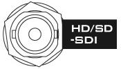 2.2 Rear Panel HD / SD SDI