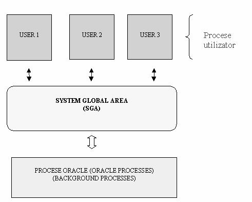 Lock (LCKn) blocheză procesele în sistemul Parallel server. Legătura dintre procesele utilizator şi procesele Oracle este prezentată în figura 2.2. Figura 2.