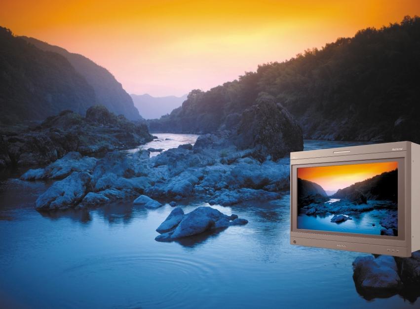 BVM-D Series Multiformat Monitors Unquestioned performance.