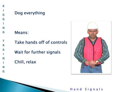Dog everything: This is a useful signal that tells the operator to take his hands off the controls and wait for further directions.