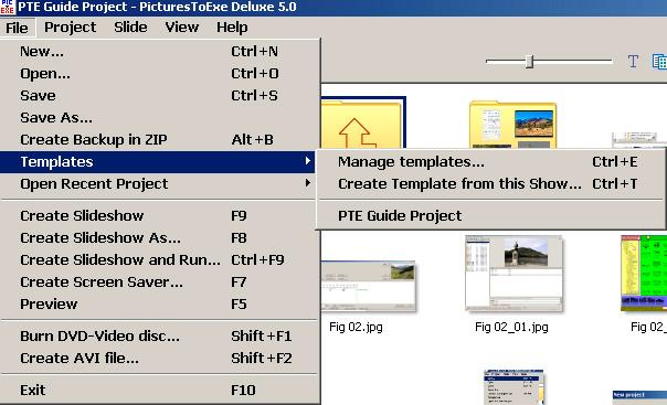 used in a PTE project. The files will not be zipped up as in the previous option, but will exist as separate files in the template directory.