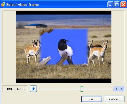 It's possible to choose the starting frame from your slideshow which appears on the animation window.