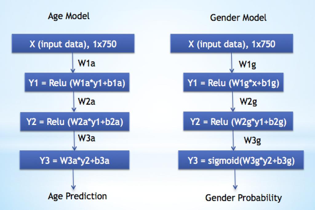 3.3 Deep Neural Network Model The proposed deep structured acoustic model is trained by maximizing the likelihood of the gender/age given a short sound clip.