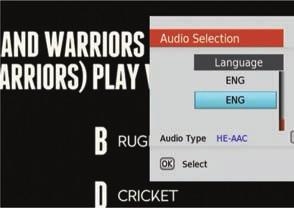 Subtitle Selection Audio Descriptions In User Options select Audio Selection. Use the up and down arrow keys on the remote to locate the language that features the small icon, then press OK.