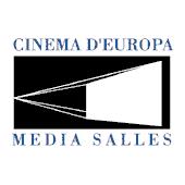 Excluded on a European level MEDIA Salles excludes Sweden s 1.4K digital cinemas, as well as other 1.4K screens in Europe from the official statistics. Europa Cinemas excludes Sweden s 1.