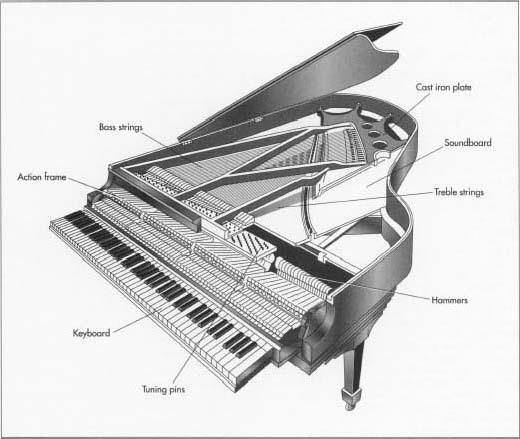 Let s take a look at the PIANO Everything about the design of the piano has a purpose: to make the music sound great. Every design aspect is functional.