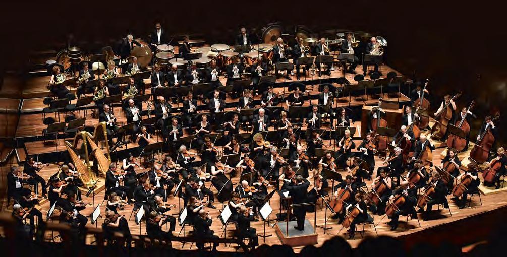 THE MELBOURNE SYMPHONY ORCHESTRA The Melbourne Symphony Orchestra (MSO) was established in 1906 and is Australia s oldest orchestra.