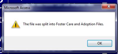 Import the Foster Care text file by clicking on the Foster Care command button beside the appropriate file format. All counties will be utilizing the New File Format.