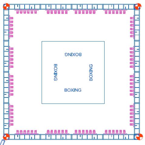 octagon for boxing and MMA events The