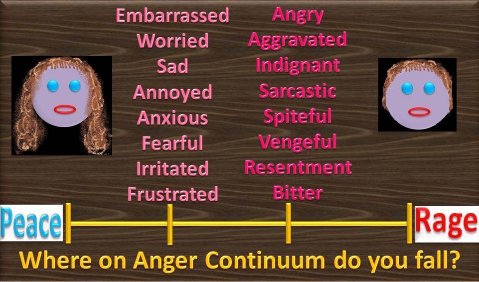 CAMPBELL: Look at the Anger Continuum poster. Notice that list of emotions. Can I get a volunteer to read off that list of ways you might be feeling if you are stressed-out or angry?