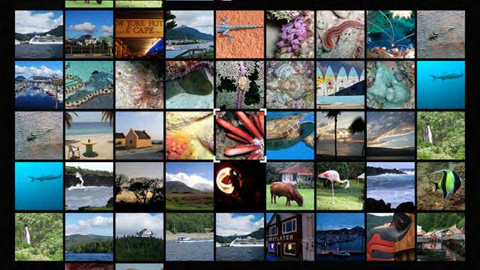 Mosaic View From the action menu of any photo album, you ll see the option play as mosaic.