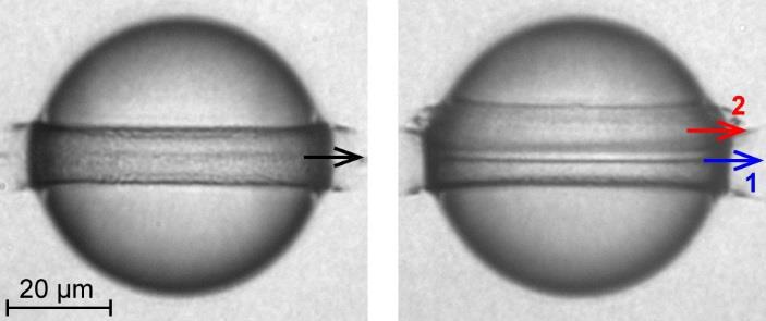 PHOTON DIAGNOSTIC The photon beam is measured somewhat destructively by screens (Fig. 12 and 13) although at hard x-rays most of the photons go through.