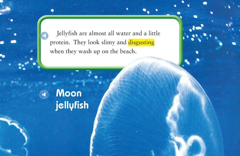 III. Jellies Facts and Opinions Q1. Write a fact from the text on the left? Jellyfish are almost all water and a little protein. Q2. Write an opinion from the text on the left?