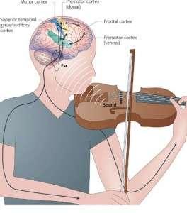 What Is Known About Music in the Brain? Perhaps some generalizations can be made: Timing some think timing is organized in the cerebellum (center of motor memory and learning.