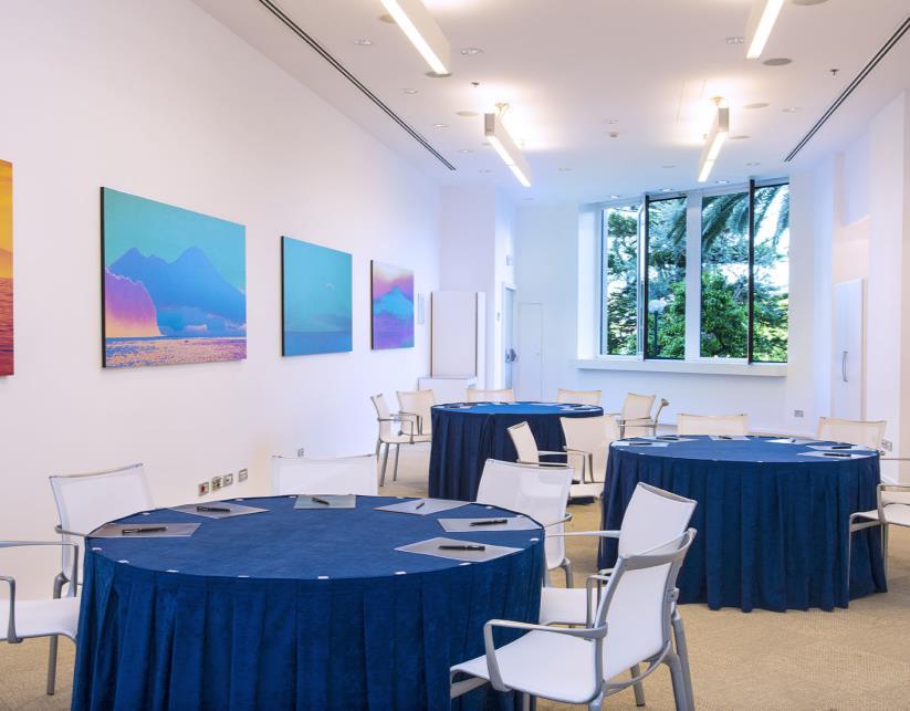 CAPRI State-of-the-art meeting room with natural daylight and seats 34 delegates in U-shape.