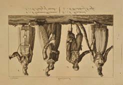 vignette to title, fifteen engraved plates (nine folding), contemporary panelled calf, upper joint split and lower joint cracked, 8vo (1) 100-150 65 Miers (John).