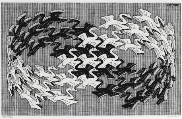 Swans, 1956 Wood