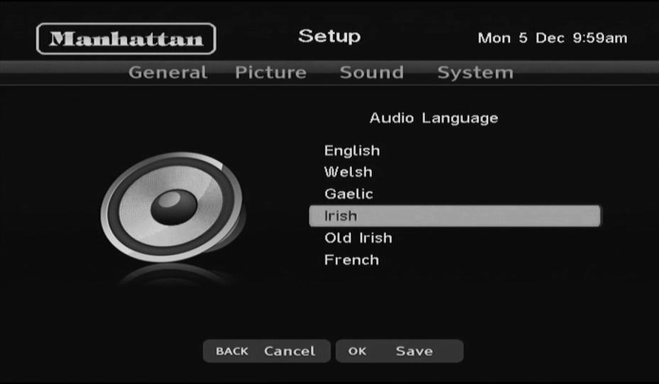 AUDIO DESCRIPTION Press to switch on audio description for all channels that provide it. Switch audio description off by pressing again.