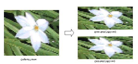 2. Modes of non-interlace convertion If an interlaced video stream is given as input : odd fields are transferred in the first 1/60 second and even fields are transferred in the next 1/60 second, so
