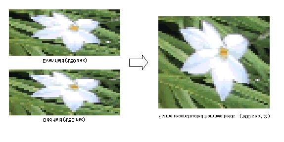 (2) WEAVE mode In weave mode, a frame is reconstructed from both the odd fields and even fields every 1/30 second and is displayed twice on screen in non-interlaced scanning in 1/30 second.