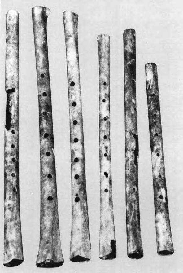 THE PREHISTORY OF CHINESE MUSIC THEORY 49 Figure 7. Bone flutes from Henan Wuyang Jiahu. Length of longest, 23.6 cm. Seventh millennium BC. After Zhongguo yinyue wenwu daxi, Henan juan (1996: 9).