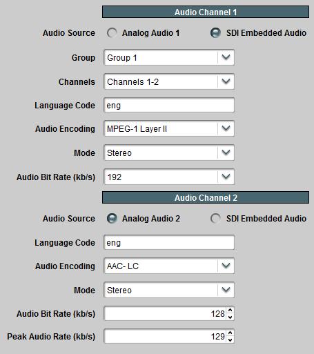 The individual controls work in the same manner as discussed before. Each audio channel can be independently configured.