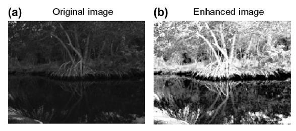 Digital Photo Image Enhancement Digital image enhancement is another example of signal processing in two dimensions.