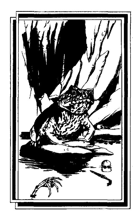 30 "Crickets!" whispers Laurus. "That frog is big enough to swallow a horse." 1. If you wish to enter the room and fight the toad, turn to page 49. 2.
