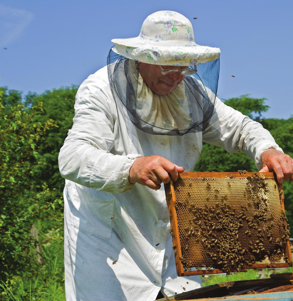 b Hard-working bees Read and listen 8 Read and listen. Who is the man in the photo? This man is a beekeeper. He has got 0 beehives. Every day he visits his bees.