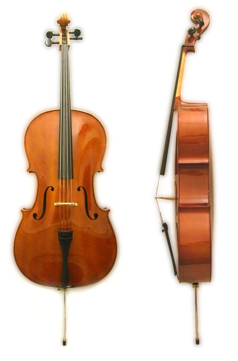 Violin Viola Cello Double bass Bow PLUCKED STRING Plucking is the
