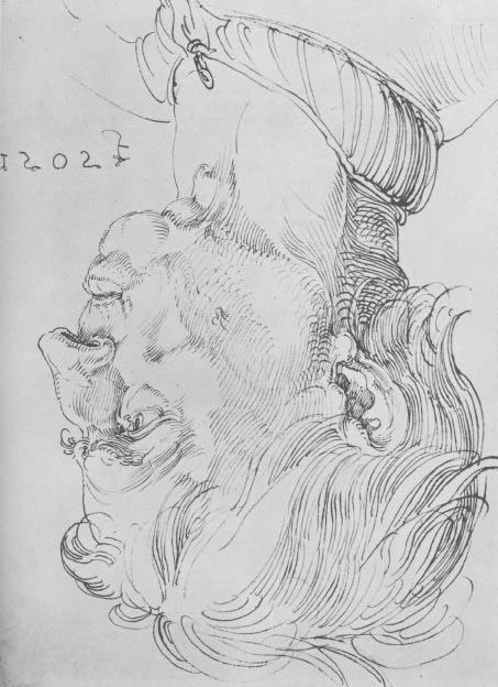 Drawing Dürer, Head of a