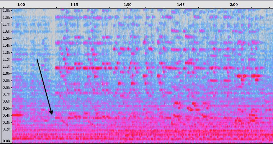 Figure 8: Spectrogram of English Horn solo Respighi does some interesting things with the layering of rhythm in this passage.