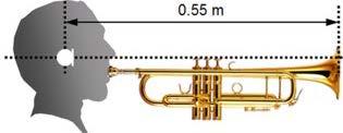 State of the art Orchestral musicians are exposed to equivalent sound levels above 85 db(a),