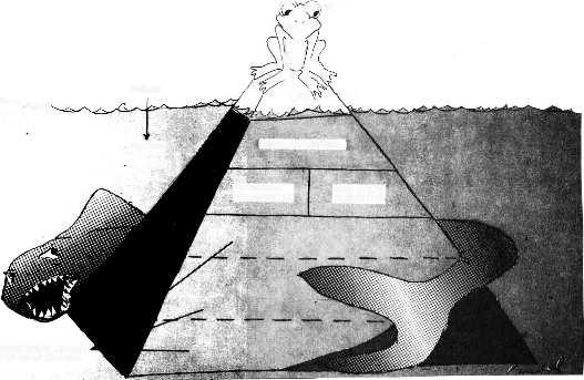 t DESIGN PROCESS Fig. 1. Defining what to do is like the tip of some Egyptian tyrant's tomb in the spring flood.